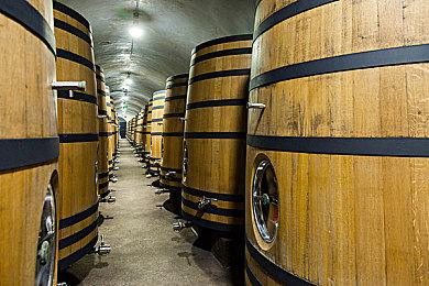 拉瑞安CEO：相信威世智会尊重《博德之门3》角色